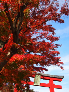 鹽竈神社の秋2015