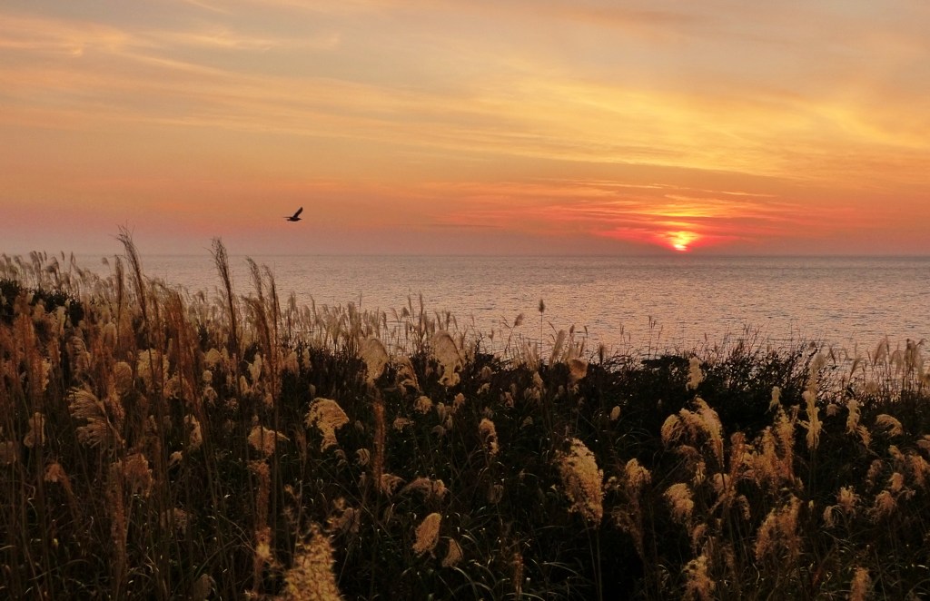 不老ふ死温泉の夕景