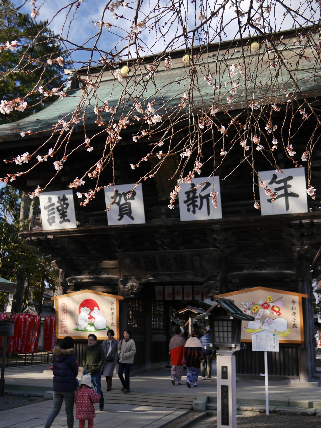 竹駒神社の四季桜