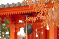 雨の陸奥国分寺Ⅴ