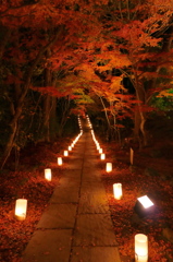 円通院2014Ⅱ