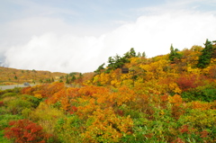 秋の栗駒山荘2018Ⅱ