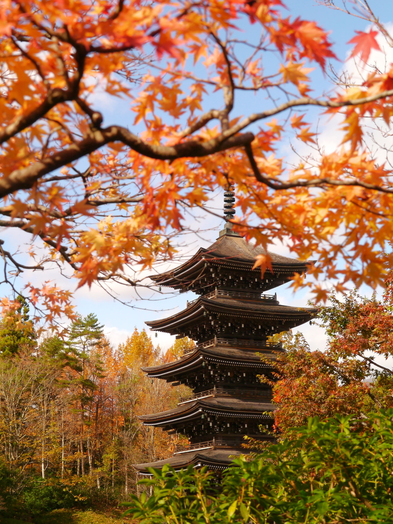 秋の定義山2023