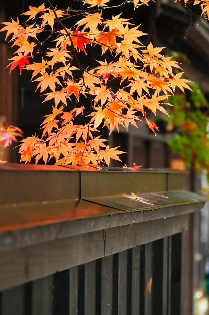 雨の角館Ⅶ