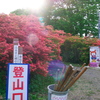 徳仙丈山のツツジ2024Ⅳ