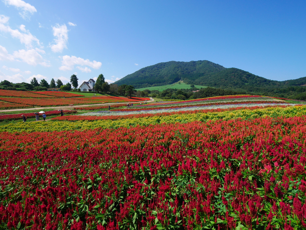 やくらいガーデン2023