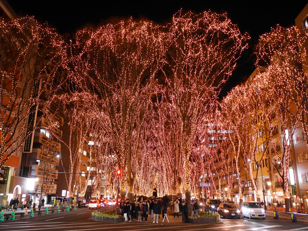 SENDAI光のページェント2025Ⅴ