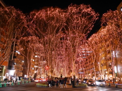 SENDAI光のページェント2025Ⅴ