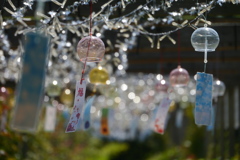 農業園芸センターの風鈴