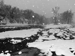 雪の広瀬川Ⅱ