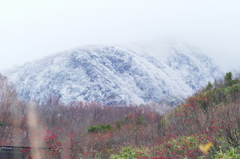 雪の栗駒山