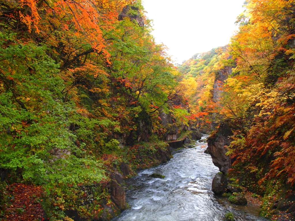 鳴子峡大谷川（１）