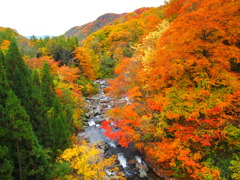秋田街道沿いの紅葉（１）