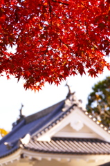 秋の仙台城跡