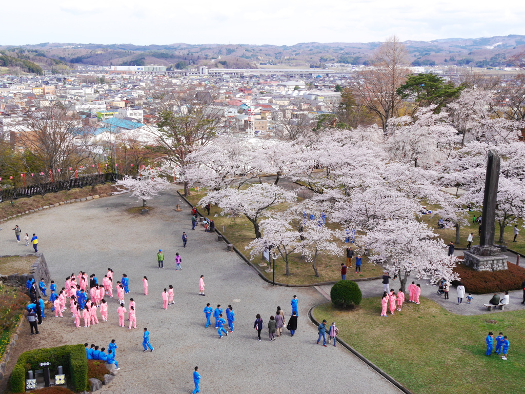 白石城の桜Ⅲ