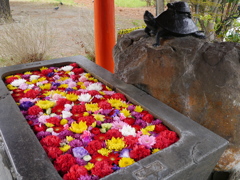 陸奥国分寺薬師堂の手水舎