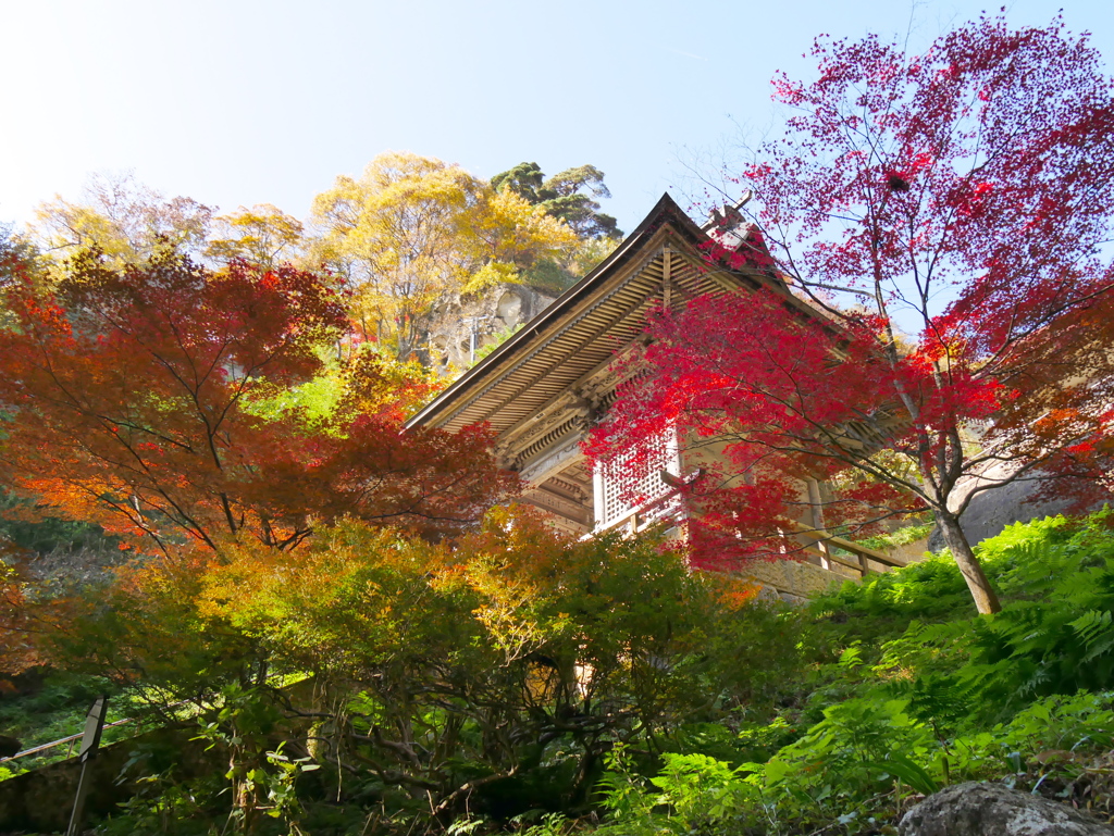 秋の山寺2024Ⅱ