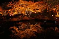 円通院2014Ⅷ