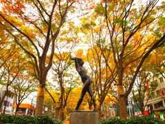 定禅寺通り（１）