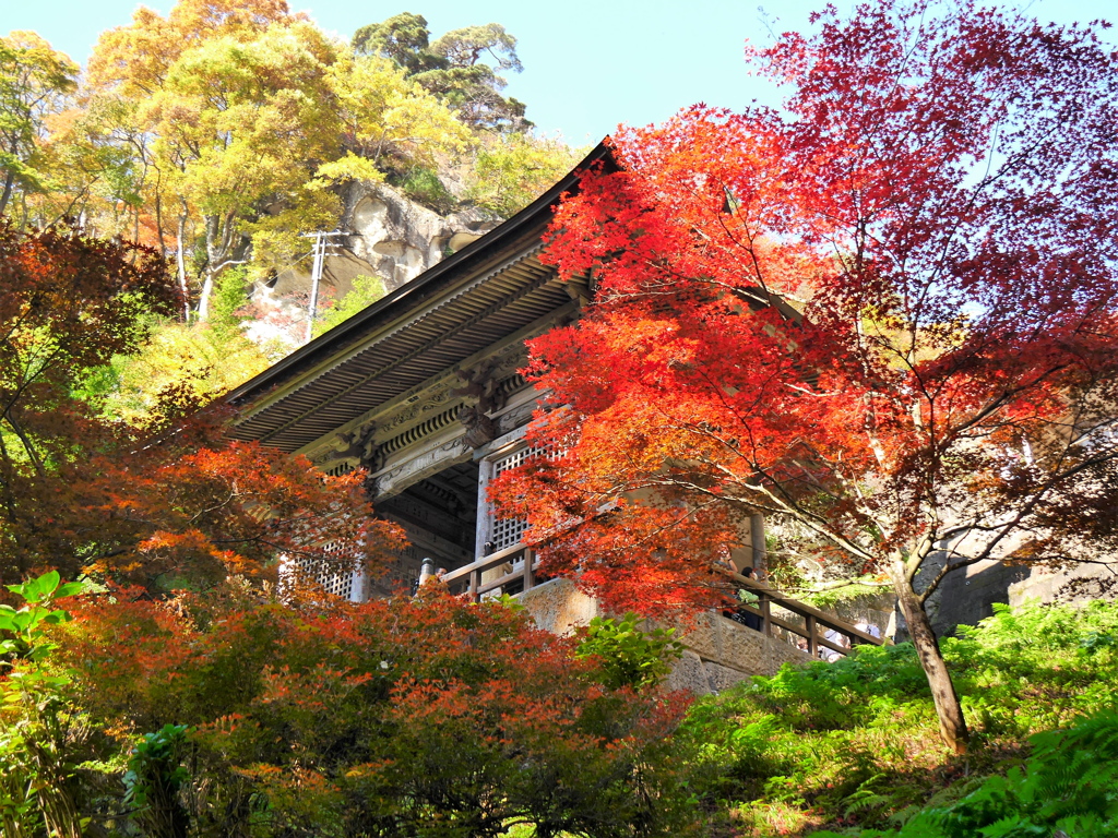 秋の山寺2021Ⅲ