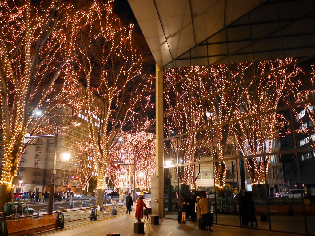 SENDAI光のページェント2025Ⅱ