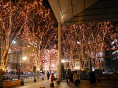 SENDAI光のページェント2025Ⅱ