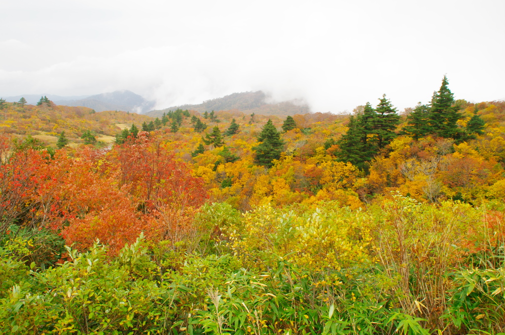 秋の栗駒山荘2018Ⅵ
