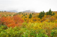 秋の栗駒山荘2018Ⅵ