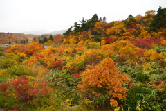 栗駒山荘の紅葉2025