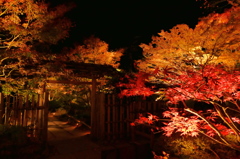 円通院2014Ⅴ