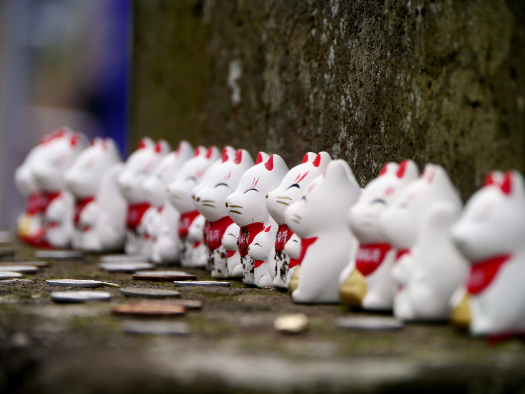 竹駒神社のキツネさん2026