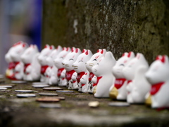 竹駒神社のキツネさん2026