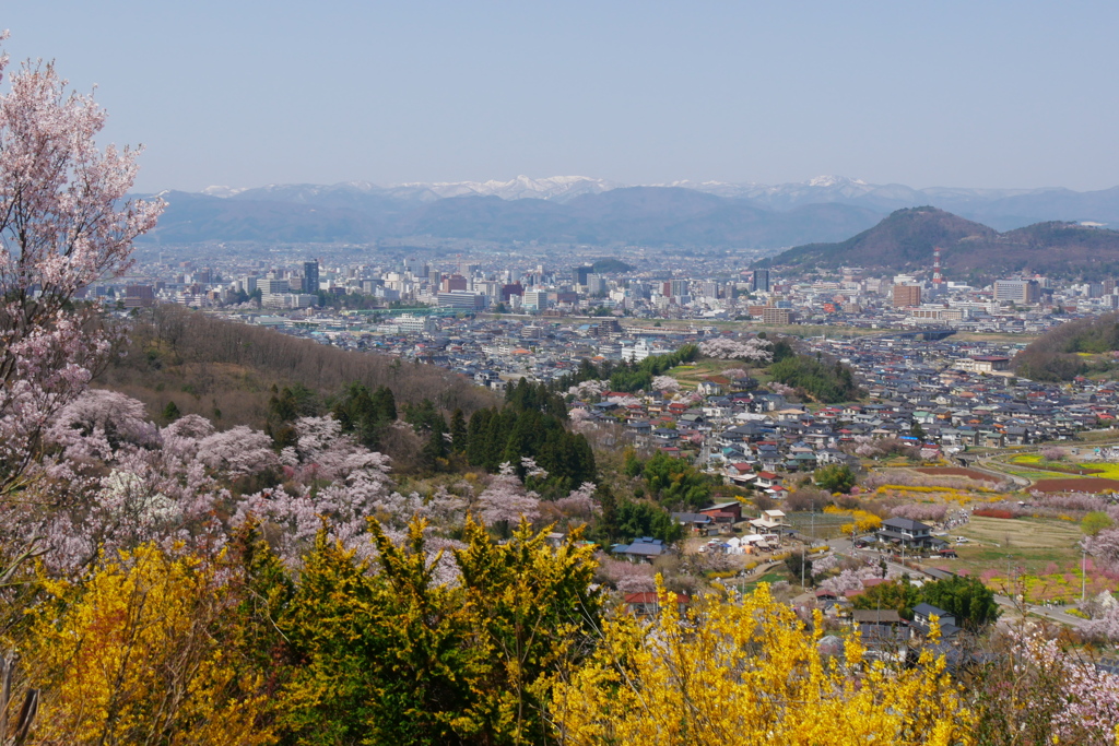 花見山公園2022Ⅷ