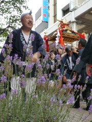 一番町三社まつり2016Ⅶ