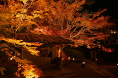 円通院2014Ⅳ