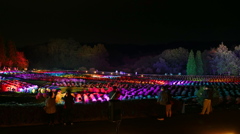 コキアカリ2015Ⅱ