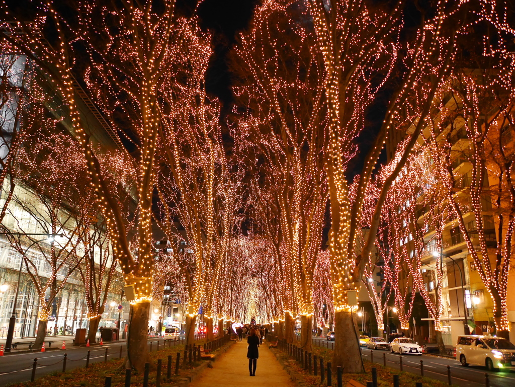 SENDAI光のページェント2025