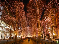 SENDAI光のページェント2025