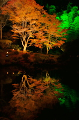 円通院2014Ⅶ
