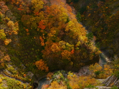 城ヶ倉大橋Ⅲ