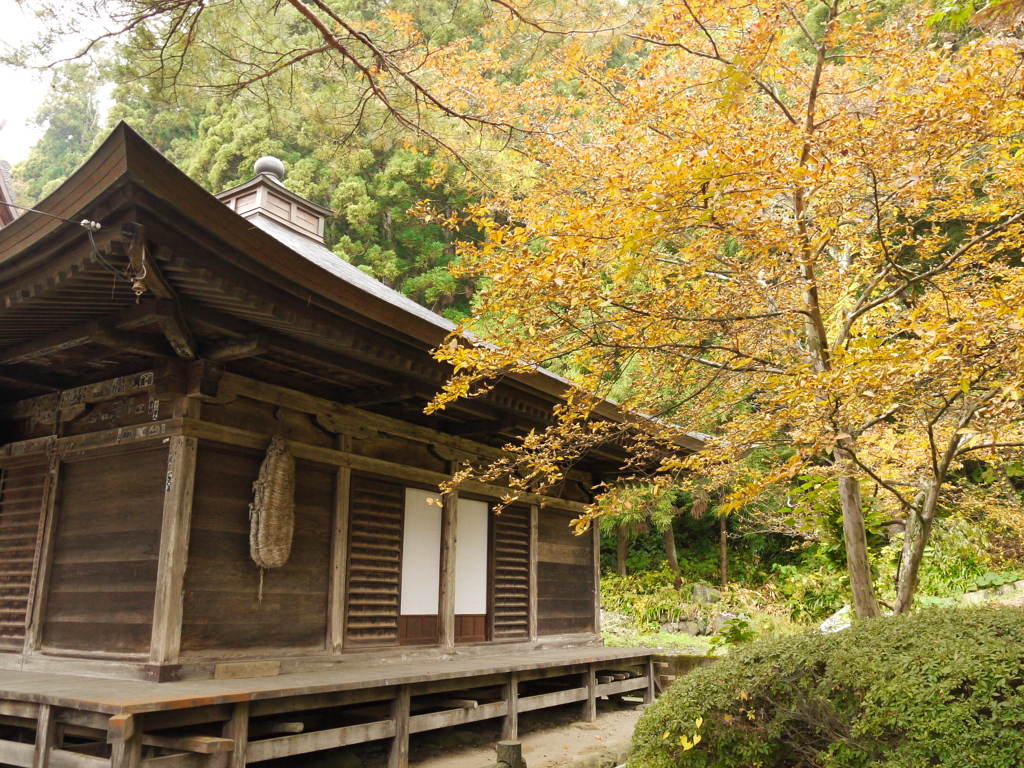 秋の山寺2019