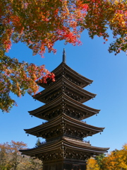 秋の定義山2024Ⅱ