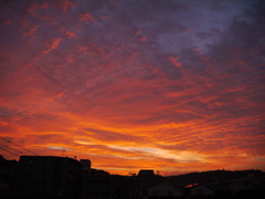 今日の夕焼け