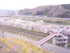 一目千本桜2019Ⅳ