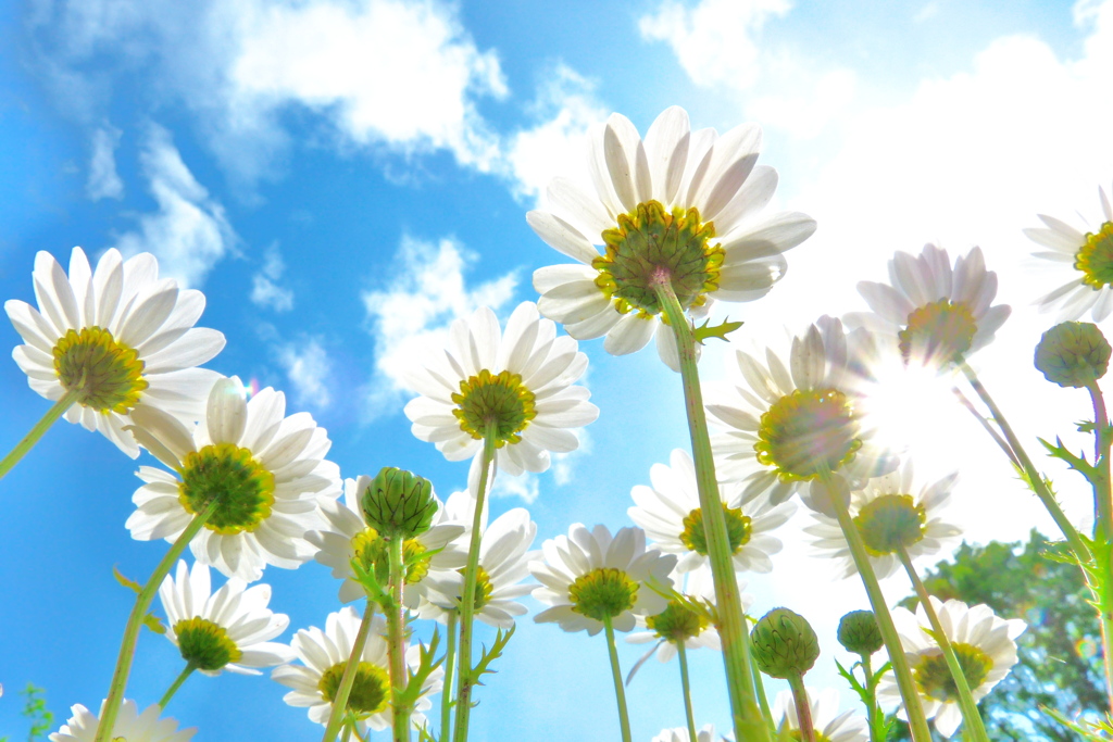 せまるぅ～初夏！