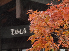 栗駒山荘の紅葉2025Ⅱ