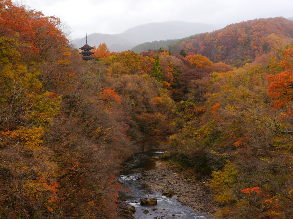 晩秋の西方寺五重塔Ⅲ