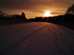 雪の軌跡