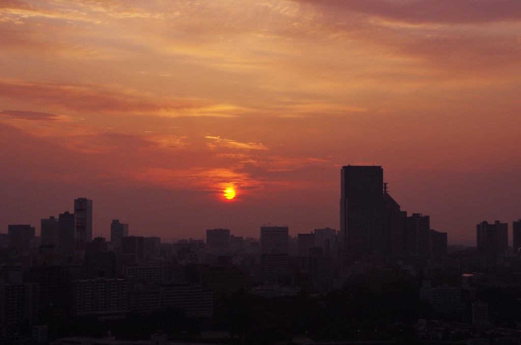 夜明けの仙台城跡