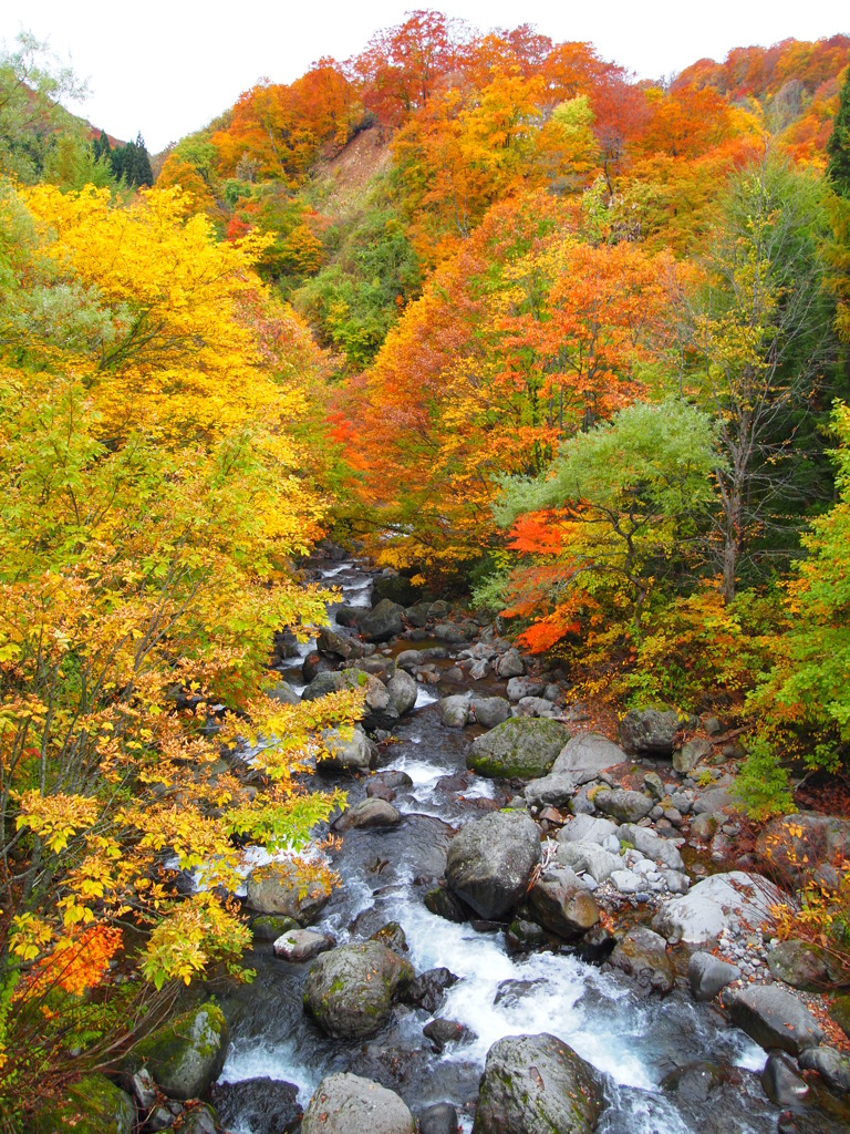 秋田街道沿いの紅葉（3）